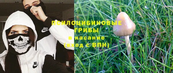 герыч Алексин