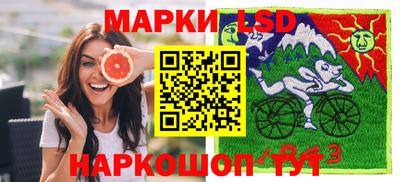 spice Новодвинск