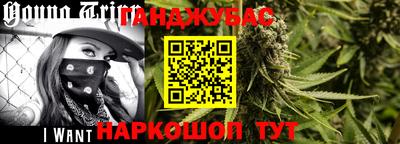 spice Новодвинск