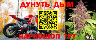 каннабис Новокубанск