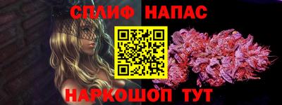 spice Новодвинск