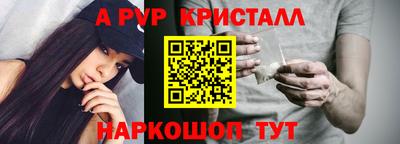 spice Новодвинск