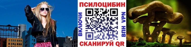 где можно купить наркотик  Сорочинск  Галлюциногенные грибы Cubensis 