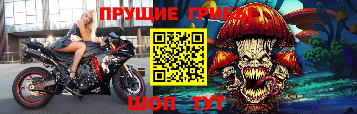 Сорочинск  Галлюциногенные грибы GOLDEN TEACHER  наркошоп  Галлюциногенные грибы мицелий  Вход с VPN 